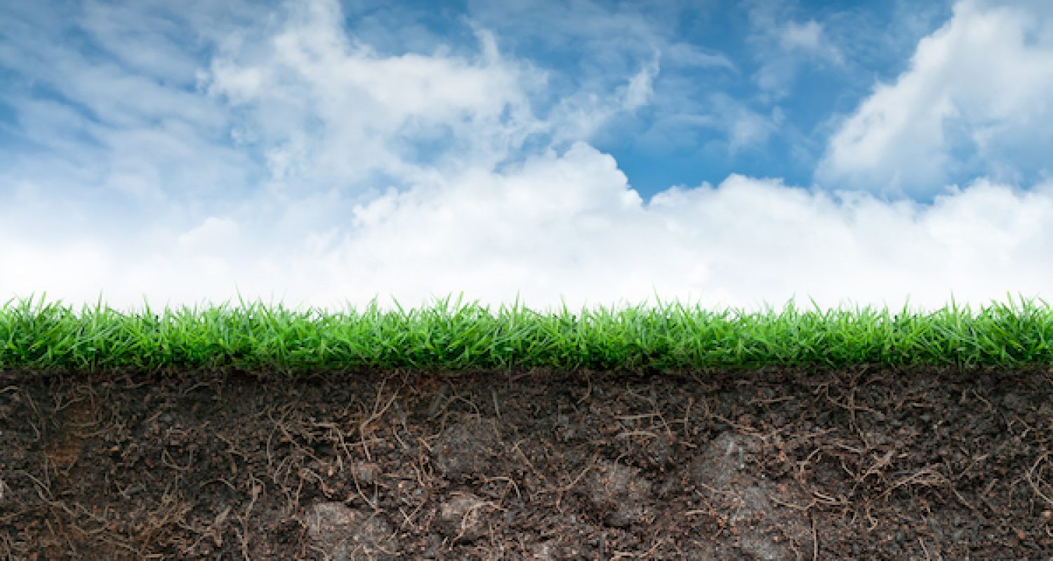Soil